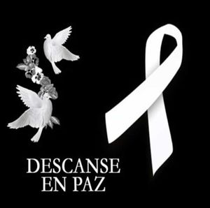 Meet your Posher, Cristina